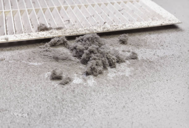 Best Air Duct Cleaning Near Me  in Indian River, MI