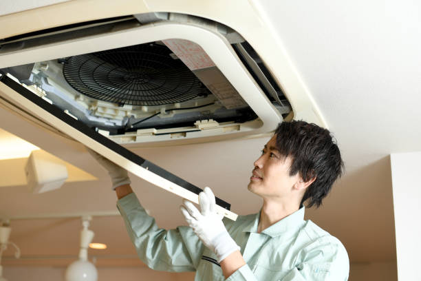 Best Affordable Air Duct Cleaning  in Indian River, MI